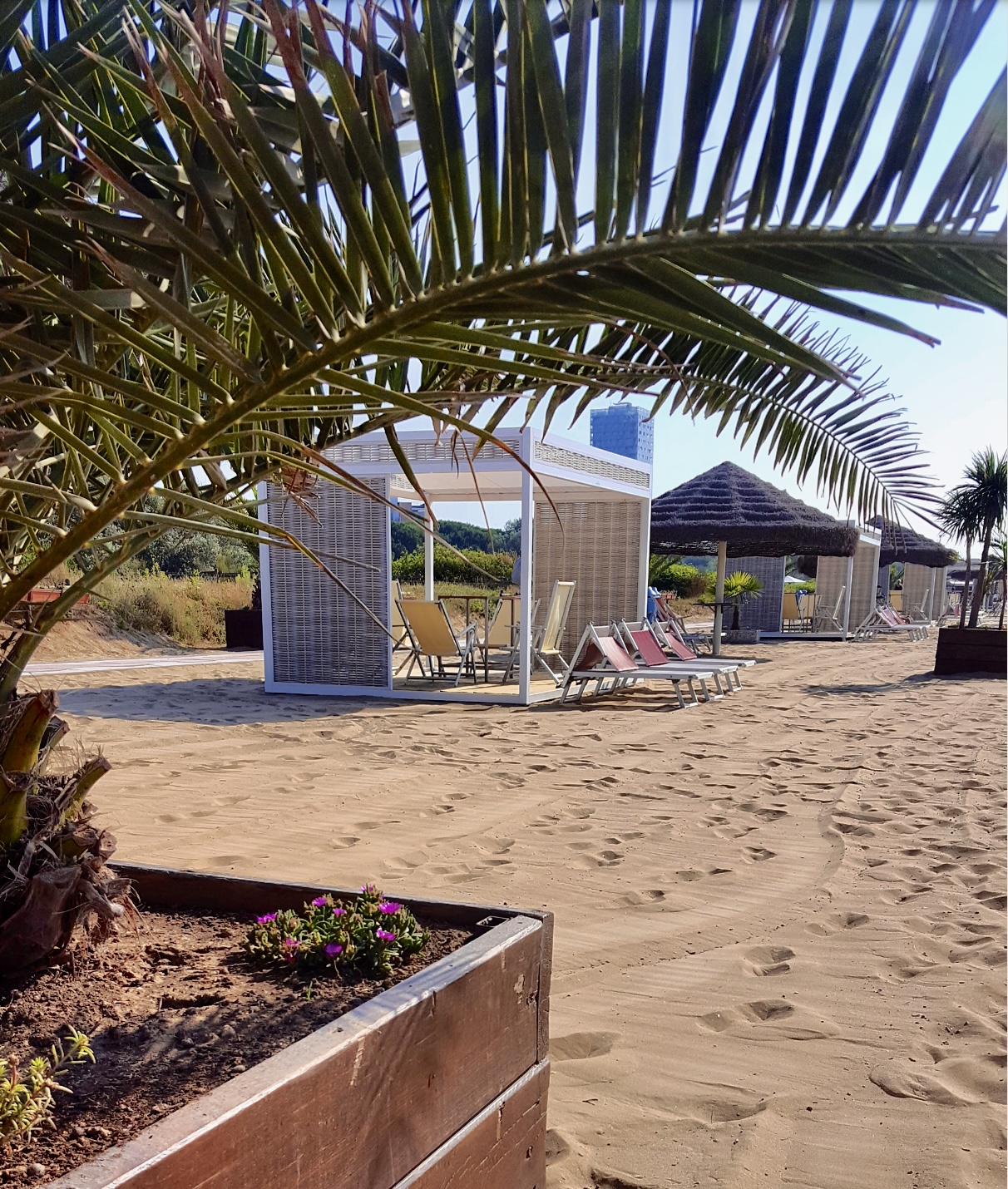 Gazebo chiaro con lettini, in mezzo alle palme dello stabilimento