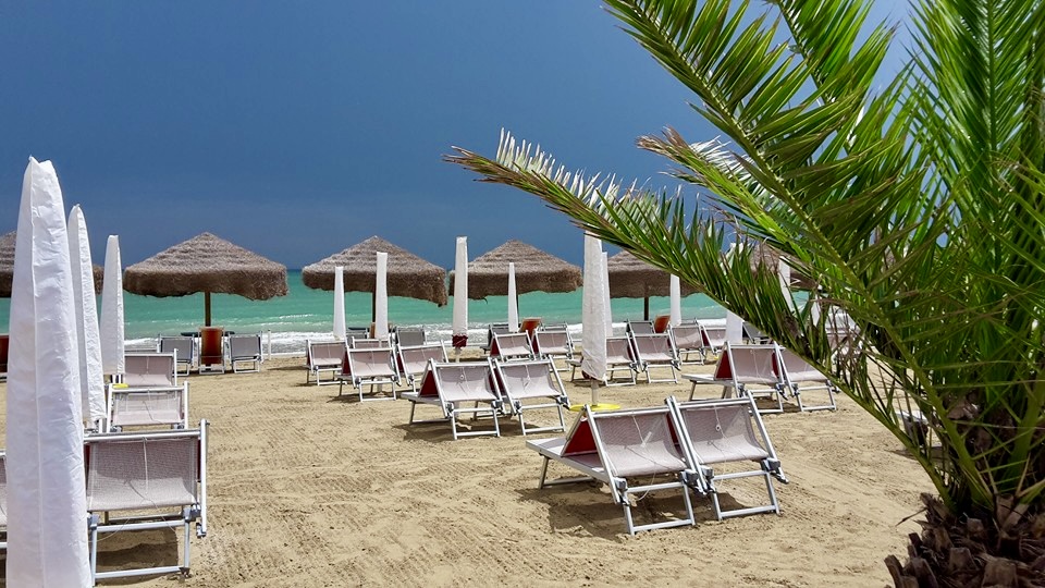 Spiaggia con palma, ombrelloni di paglia e lettini affacciati sul mare